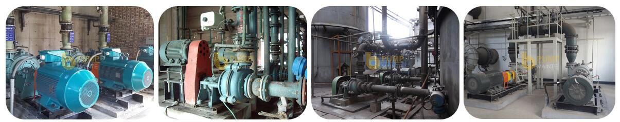 HSR Series Lining Rubber Desulfurization Pump